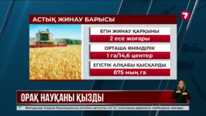 Диқандар 2,6 млн гектар алқаптан астық жинап үлгерді
