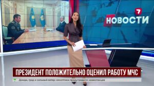 Президент оценил модернизацию системы гражданской защиты