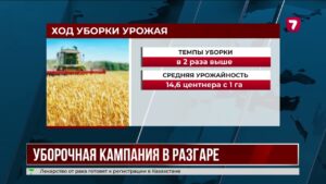 Уборочная кампания в Казахстане идёт вдвое быстрее