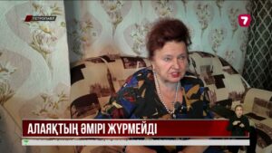 Зейнеткерлерді интернет алаяқтардан қорғауға арналған WhatsApp топтар құрылды