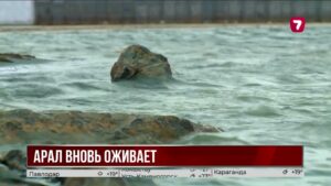 Северный Арал продолжает восстанавливаться и наполняться водой