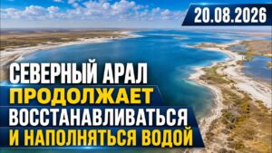 Северный Арал продолжает восстанавливаться и наполняться водой | 20.08.2026 — Дневные новости