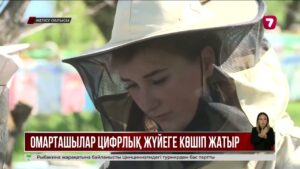 Ара шаруашылығы цифрлық жүйеге көшіріліп жатыр