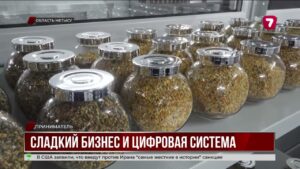 Пчеловодство Казахстана переходит на цифровые технологии