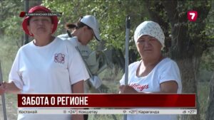 27 субботников и 104 тысячи деревьев: итоги «Таза Қазақстан» в Алматинской области