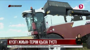 Ақтөбе облысында егін бітік шықты