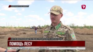 В Карагандинской области построят теплицу для сосен
