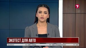 В Алматы с сентября ввели обязательный экотест