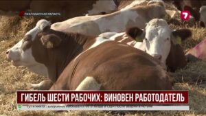 Работодателя признали виновным в гибели шести рабочих