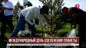 22 апреля станет Международным днём озеленения планеты