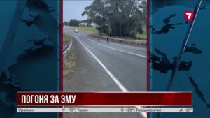 Полицейский в Австралии устроил необычную погоню