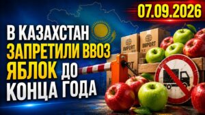 В Казахстане временно запретили ввоз зарубежных яблок | 07.09.2026 — Дневные новости