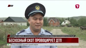 На востоке страны оградили трассы от скота