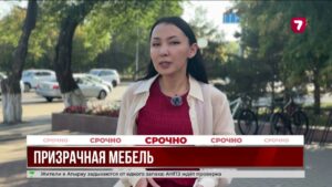 Лжемебельщиков приговорили к шести годам в Астане