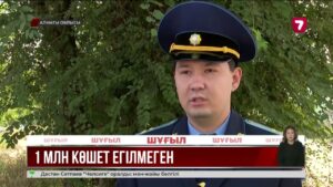Алматы облысында 100 мың ағаш кесіліп, орнына 1 тал да егілмеген