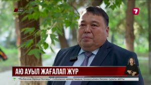 ШҚО-да аюлар саяжайлар мен омарталарға кіре бастаған