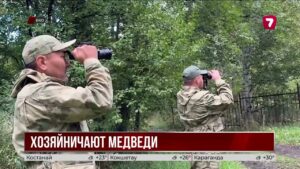 Медведи массово выходят к дачам Восточного Казахстана