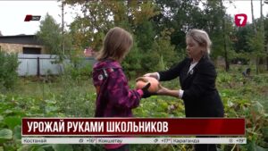Экологическое воспитание на практике: школьники ЗКО выращивают свой урожай