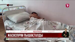 Семейде оқушылар арасындағы жанжал қанды оқиғаға ұласқан