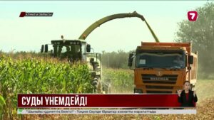 Су үнемдеу технологиясы егін өнімділігін 3-4 есе арттырды