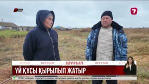 СҚО-да үй құсы белгісіз індеттен жаппай қырылып жатыр