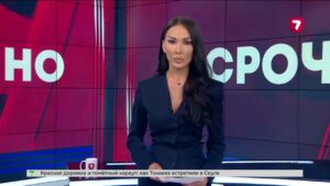 В Туркестане кошка «угнала» легковой автомобиль и врезалась в бетонный забор