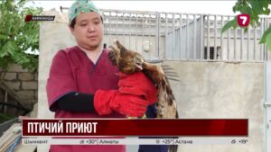 Карагандинский зоопарк стал новым домом для спасенных хищных птиц