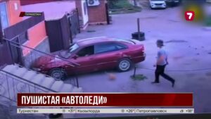 В Туркестане кошка угнала автомобиль и устроила необычное ДТП