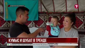В мире стремительно растёт спрос на кумыс и шубат
