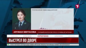 Житель столицы выстрелил в воздух из-за пьяной компании