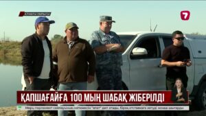 Қапшағай су қоймасына 100 мыңнан аса шабақ жіберілді
