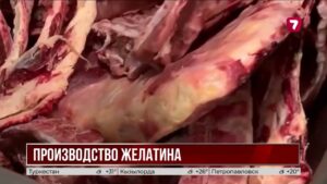Желатин и коллаген начнут производить в Казахстане
