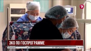 Почти 15 тысяч детей родились благодаря бесплатному ЭКО в Казахстане
