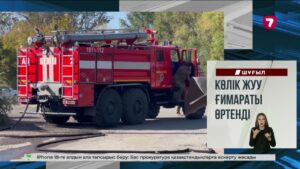 Астанада жүргізуші көлікпен бірге Есіл өзеніне батып кете жаздады