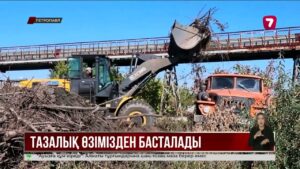СҚО энергетиктері «Таза Қазақстан» акциясына үн қосты