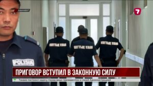 Пожизненный приговор Шерхану Аймахану за убийство Нурай Серикбай оставили в силе