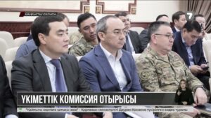 Каспийдегі қайғылы оқиғаға байланысты екі қылмыстық іс қозғалды