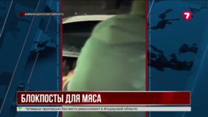 На трассах Карагандинской области ищут скотокрадов