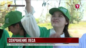 В Алматинской области собирают семена для будущих лесов