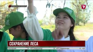 200 килограммов семян джиды собрали в Алматинской области