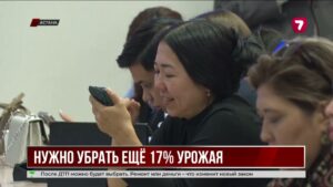 Казахстанские аграрии планируют собрать 23 млн тонн зерна