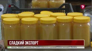 Восточноказахстанские пчеловоды нарастят экспорт мёда