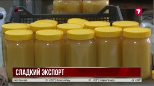В ВКО рассчитывают получить свыше трёх тысяч тонн мёда