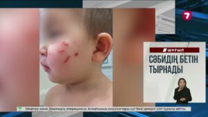 Астанада ер адам «Қараөткел» көпірінің доғасына шығып алған