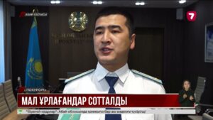Абай облысында мал ұрлығымен айналысқан 11 адам сотталды