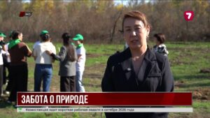 Ханскую рощу в Уральске восстанавливают после пожара