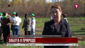 Ханская роща восстанавливается после пожара