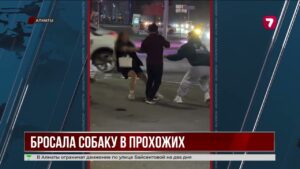 В Алматы женщина бросала собаку в прохожих