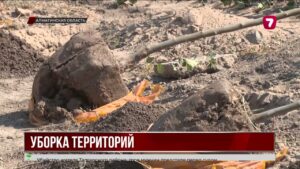 В Алматинской области провели масштабный субботник