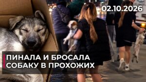 В Алматы женщина бросала собаку в прохожих | 02.10.2026